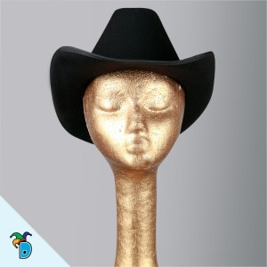 Sombrero Texano Forrado